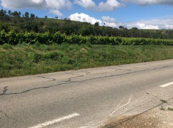 Excursión Bici de carretera Aix-en-Provence - Les quatre thermes  - Photo