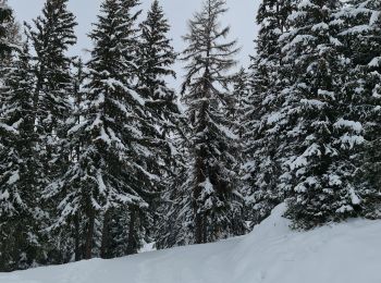 Excursión Esquí de fondo Bourg-Saint-Maurice - Arcs Le Chantel vers Peisy Vallandry (Boucle) - Photo