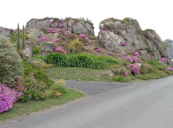 Trail Walking Plougrescant - boucle de plougrescan (le gouffre)  - Photo