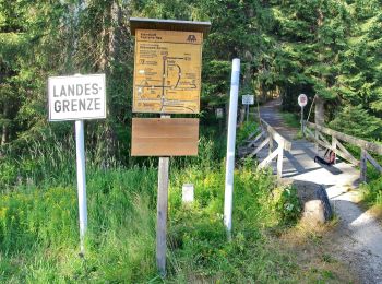 Tour Zu Fuß Lindberg - Sauerklee - Photo