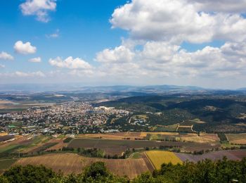 Tocht Te voet נשר - נוף הכרמל - Photo