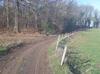 Percorso Marcia Huy - Balade de Ben Ahin - Photo