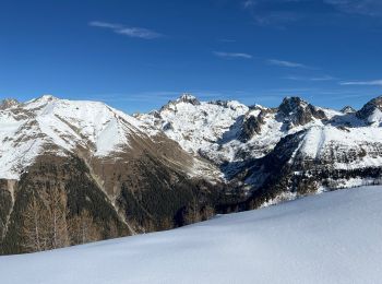 Tour Schneeschuhwandern Belvédère - Mont Lapassé  - Photo