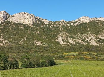 Trail Walking Eyguières - Tour des Opies - Photo