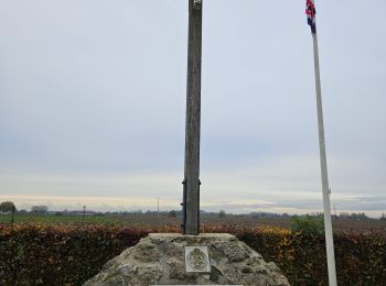 Trail Walking Fromelles - 20/11/2024 Fromelles BenB philippe - Photo