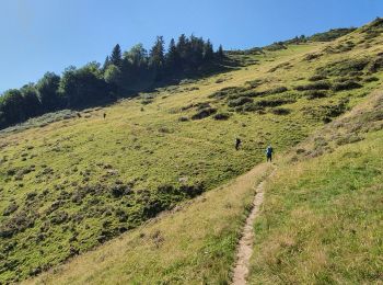 Trail Walking Bordes-Uchentein - cabanes du Trapech et Tuc du Coucou en boucle - Photo
