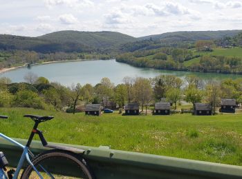 Trail Mountain bike Lissac-sur-Couze - lac du causse, circuit 5 puis vierge, et retour par le 11 - Photo