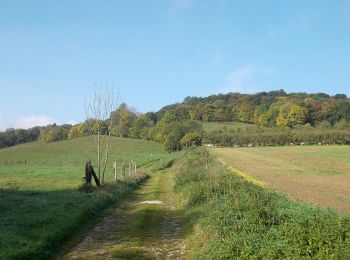 Tocht Te voet Dornburg-Camburg - Stöben-Schmiedehausen - Photo