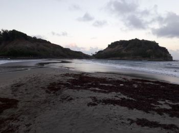 Tour Wandern Sainte-Marie - Tombolo - l'anse du Four en boucle. - Photo