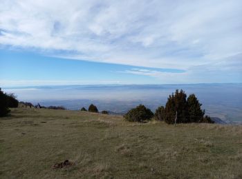 Tour Wandern Léoncel - Pierre Chauve-Pas de St Vincent- Pas de Touet - Photo