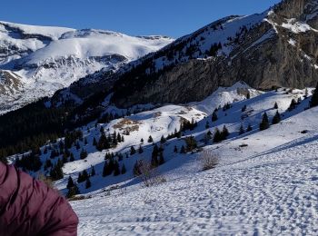 Excursión Raquetas de nieve Le Dévoluy - super 2024 - Photo