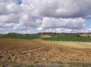 Percorso Bici ibrida Colomiers - castera - Photo