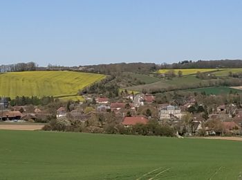 Tour Wandern Vauchassis - 05 Avril 2020 - Photo