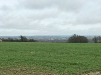 Tocht Stappen Mondoubleau - Mondoubleau sud retour Laniau-Maladrie - Photo