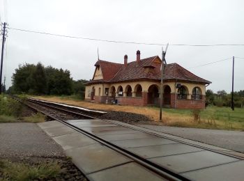 Excursión A pie Kecskemét - ZL (Kecskemét belsőnyír) - Photo