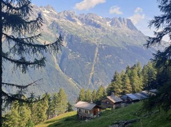 Tour Wandern Chamonix-Mont-Blanc - 2024-05-29_17h56m49_Cirkwi-Randonne_de_l_Alpage_de_Blaitire - Photo