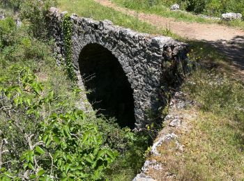 Tocht sport Peillon - Haut de Peillln - Photo