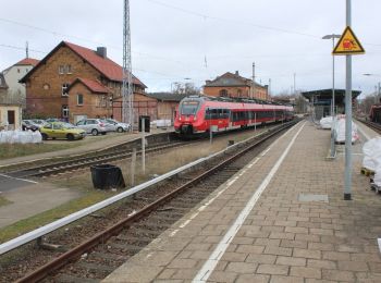 Randonnée A pied Königs Wusterhausen - 1. Permanenter Wanderweg Königs Wusterhausen - Photo