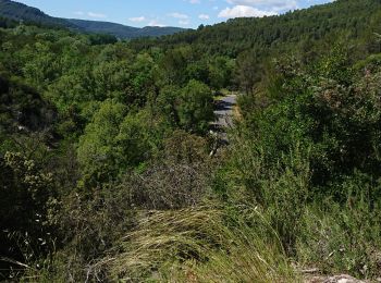 Trail Road bike Salernes - eurovelo n*8 salernes  - Photo