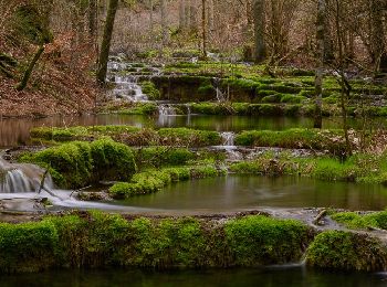 Randonnée A pied Greding - Greding 5 - Photo