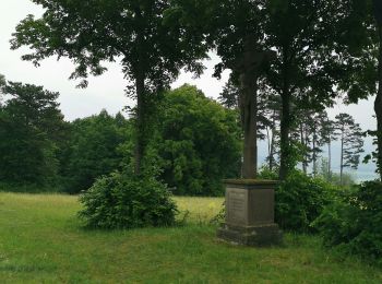 Excursión A pie Schleid - Geisaer Amt - Rundwanderweg 2 - Photo