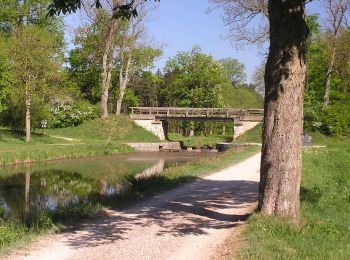 Tocht Te voet Berg b.Neumarkt i.d.OPf. - Leonhardsweg - Photo