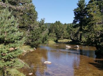 Excursión Senderismo La Llagonne - pla de barres- jaça d'en Calvet-02/08/2023 - Photo