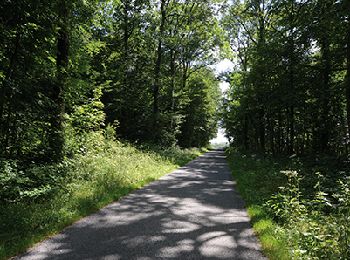 Trail Walking Sivry-Rance - Rance - Circuit Natura 2000, des sites qui valent le détour - Ht09 - Photo