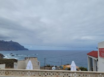 Tocht Stappen Santa Cruz de Tenerife - BENIJO - El Draguillo - Photo