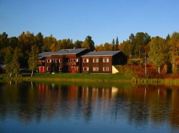 Tour Zu Fuß  - Ammarnäs - Långflytje - Photo