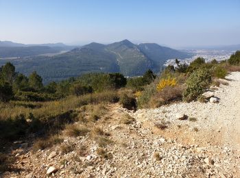 Trail Walking Gémenos - Coulin, Mont Cruvelier, Sommet de Bigou - Photo