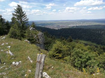 Percorso Marcia Pontarlier - le grand taureau - Photo