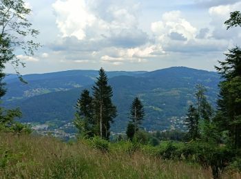 Tour Wandern Thiéfosse - AR col de xiard roche montivieille - Photo