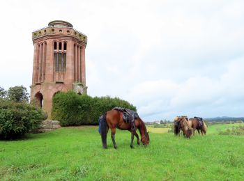 Tocht Paardrijden Lampertsloch - suuntoapp-HorsebackRiding-2024-10-02T07-31-37Z - Photo