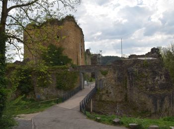 Trail Walking Theux - 20220509 - Château de Franchimont 7.6 Km - Photo