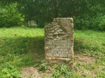 Randonnée A pied Berka vor dem Hainich - Wanderweg Sulzrieden - Photo