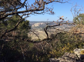 Tour Wandern Saint-Pantaléon - PF-Saint Pantaléon-Les pierres sèches - Reco - Photo