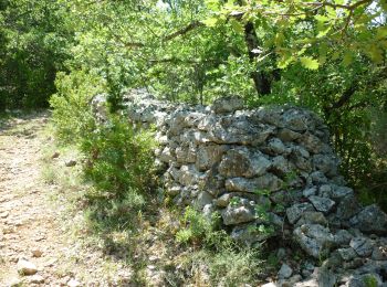 Trail Walking Tharaux - Tharaux - Photo