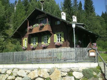 Tour Zu Fuß Krieglach - Peter Rosegger Rundwanderweg 2 (Alpl Waldheimat Rundwanderweg) - Photo