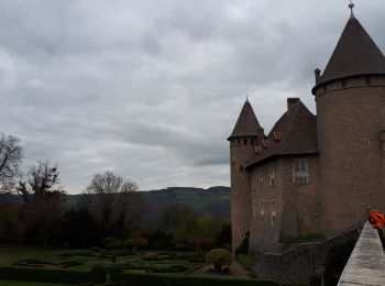 Excursión Senderismo Val-de-Virieu - Les 2 Châteaux - Photo