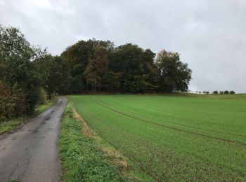 Tour Wandern Wintger - Asselborn 22 km - Photo