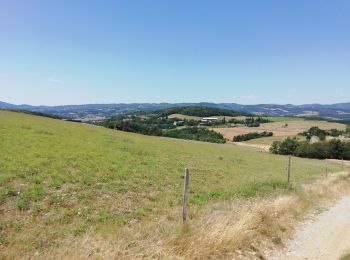 Randonnée Marche Saint-Sylvestre - St Sylvestre  Pt Romain 14km - Photo