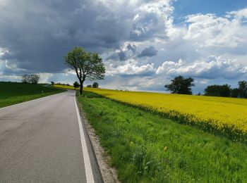 Tocht Te voet Oberbarnim - Oberbarnimer Feldsteinroute - Photo