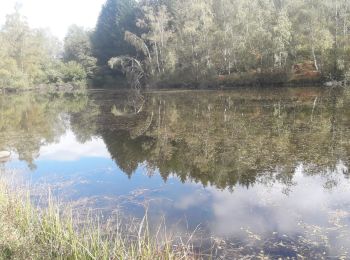 Excursión Bicicleta híbrida Beulotte-Saint-Laurent - Sur les 1000 étangs depuis le Poteau - Photo