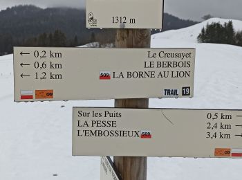 Trail Snowshoes La Pesse - L'Ambossieux-La Borne au Lion AR - Photo