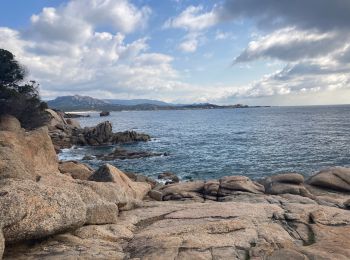 Tour Wandern Sartène - Rando Tizzano  - Photo