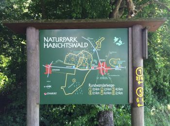 Percorso A piedi Breuna - Naturpark Habichtswald: Rundwandweg 5 ab Wanderparkplatz Wettesingen - Photo