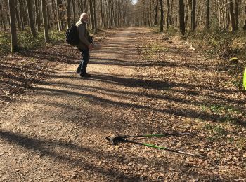 Randonnée Marche Mont-Saint-Aignan - Chasse  marée à l’envers - Photo