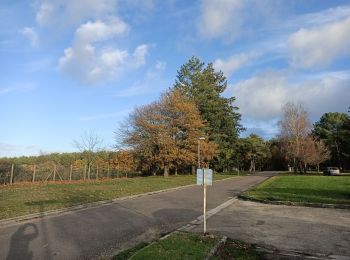 Tour Wandern Branches - Branches aérodrome  - Photo