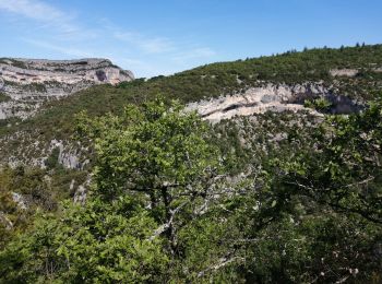 Tour Wandern Monieux - chemins perdus des gorges de la nesque - Photo